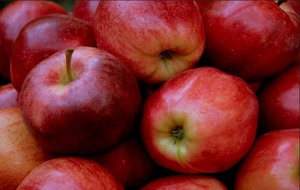 Можно ли яблоки при панкреатите