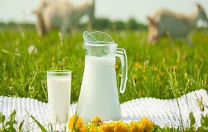 Можно ли молоко при панкреатите